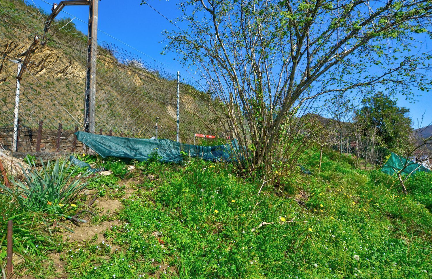 Casas o chalets-Venta-Villena-2177148-Foto-42