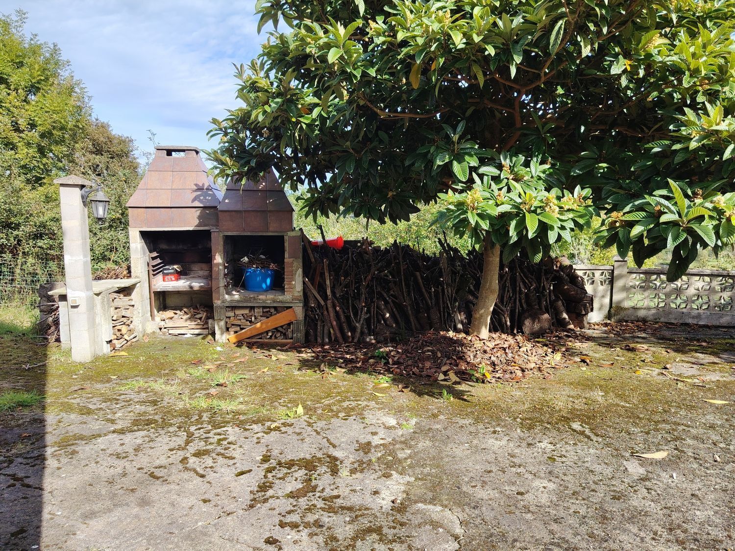 Casas o chalets-Venta-Villaviciosa-1943491-Foto-7