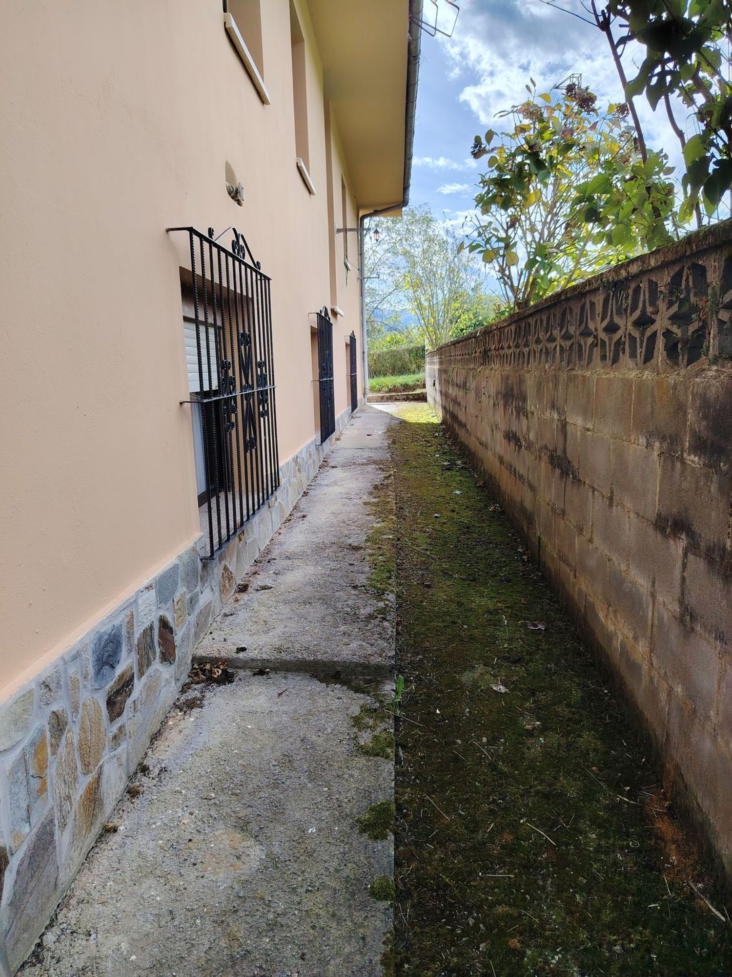 Casas o chalets-Venta-Villaviciosa-1943491-Foto-10