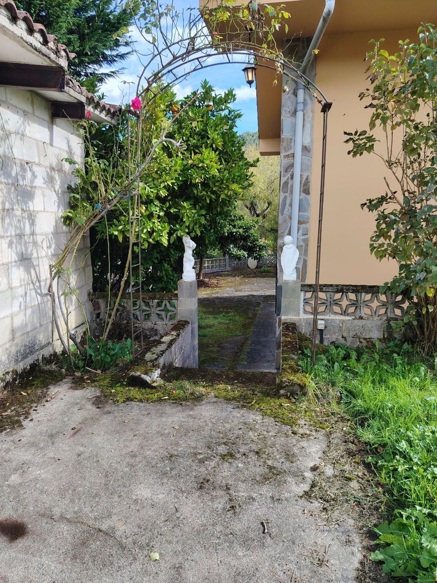 Casas o chalets-Venta-Villaviciosa-1943491-Foto-9