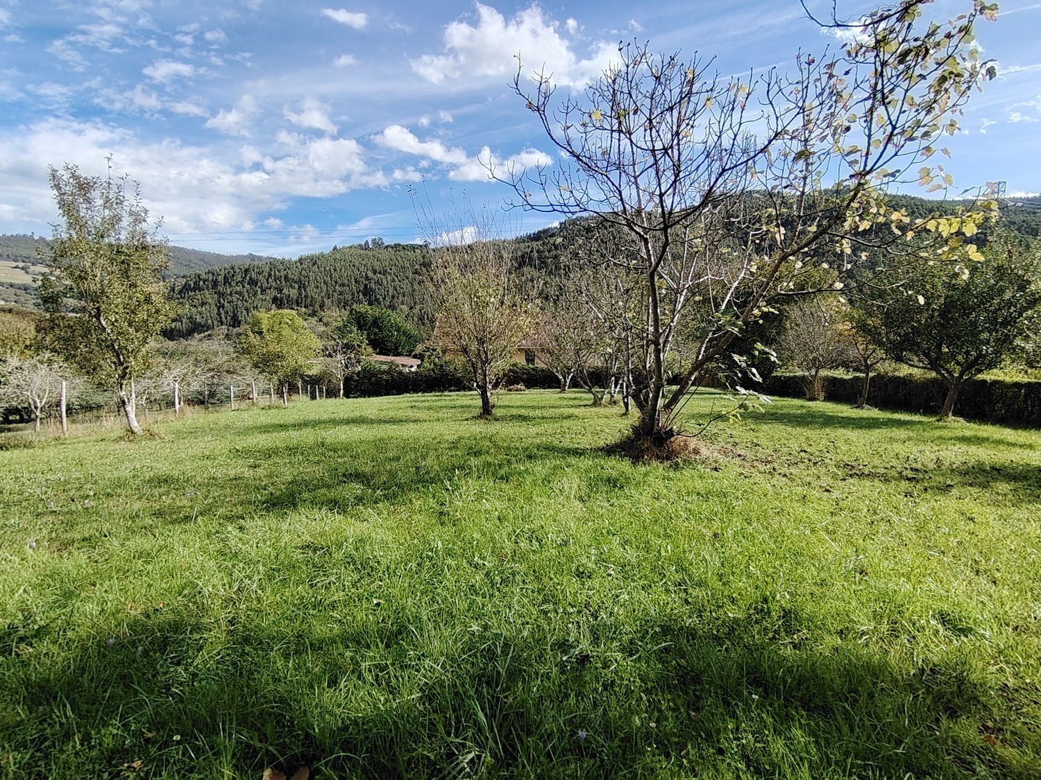 Casas o chalets-Venta-Villaviciosa-1943491-Foto-14
