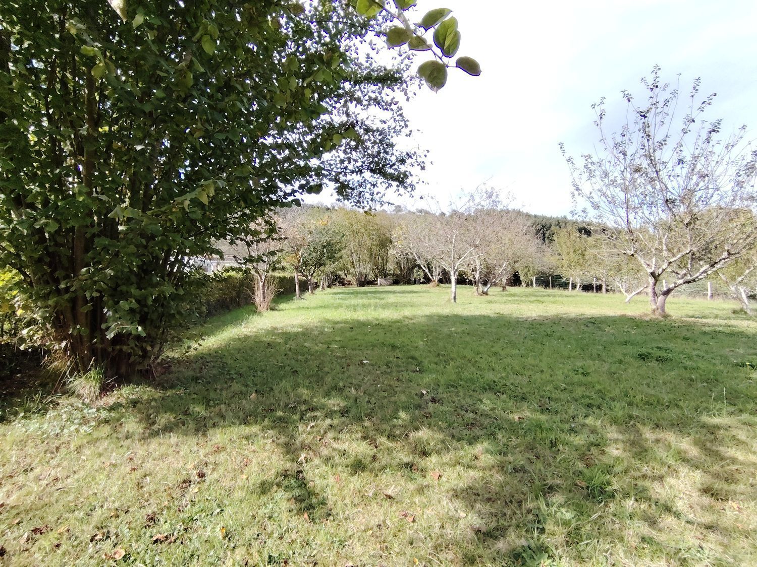 Casas o chalets-Venta-Villaviciosa-1943491-Foto-16