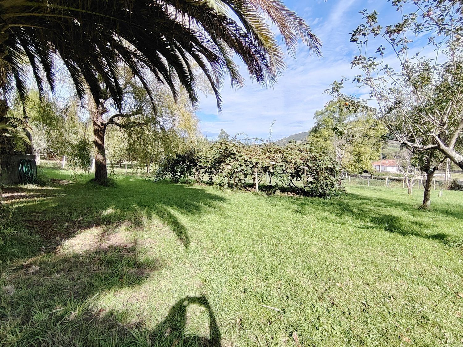 Casas o chalets-Venta-Villaviciosa-1943491-Foto-21