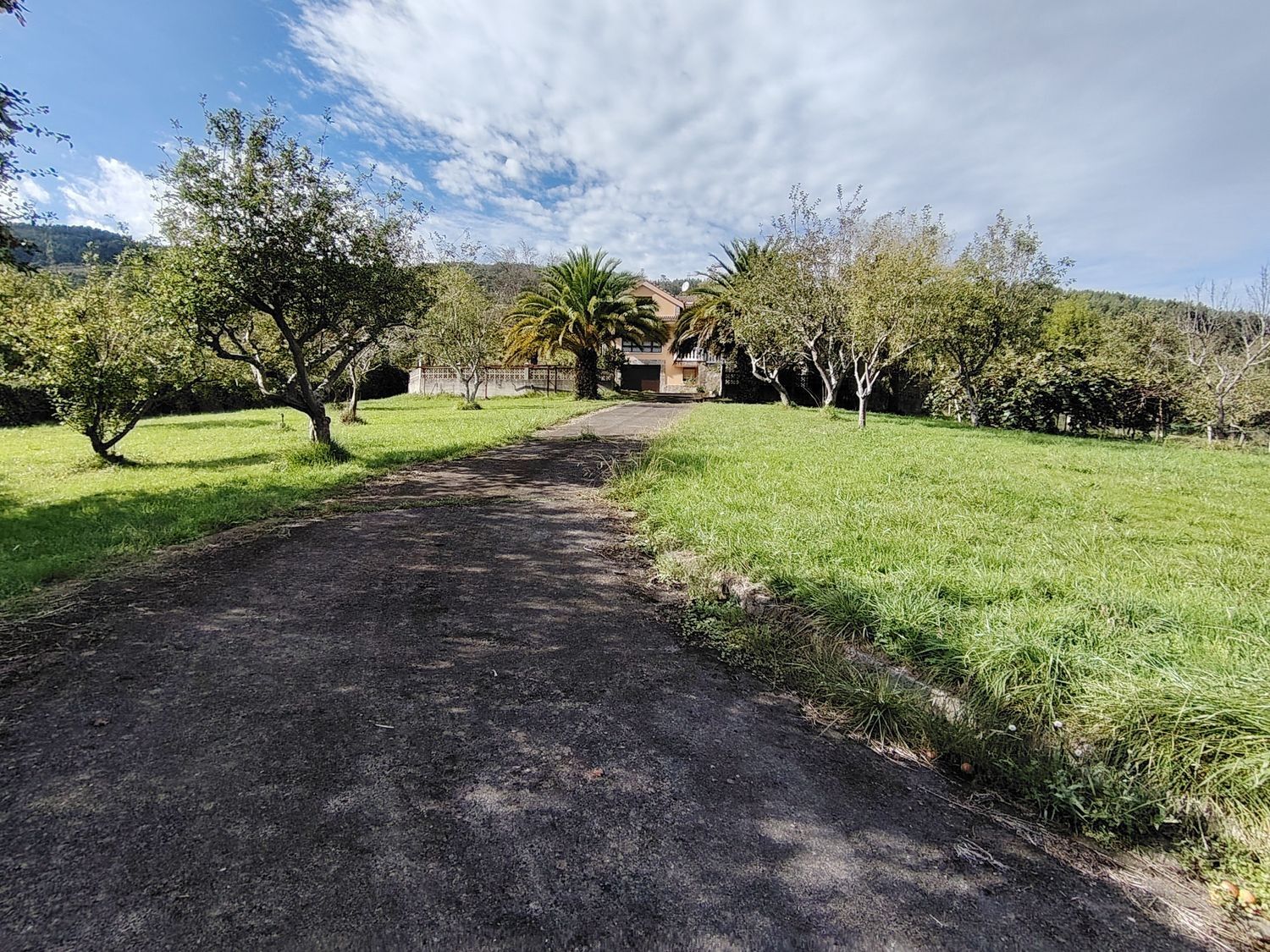 Casas o chalets-Venta-Villaviciosa-1943491-Foto-22