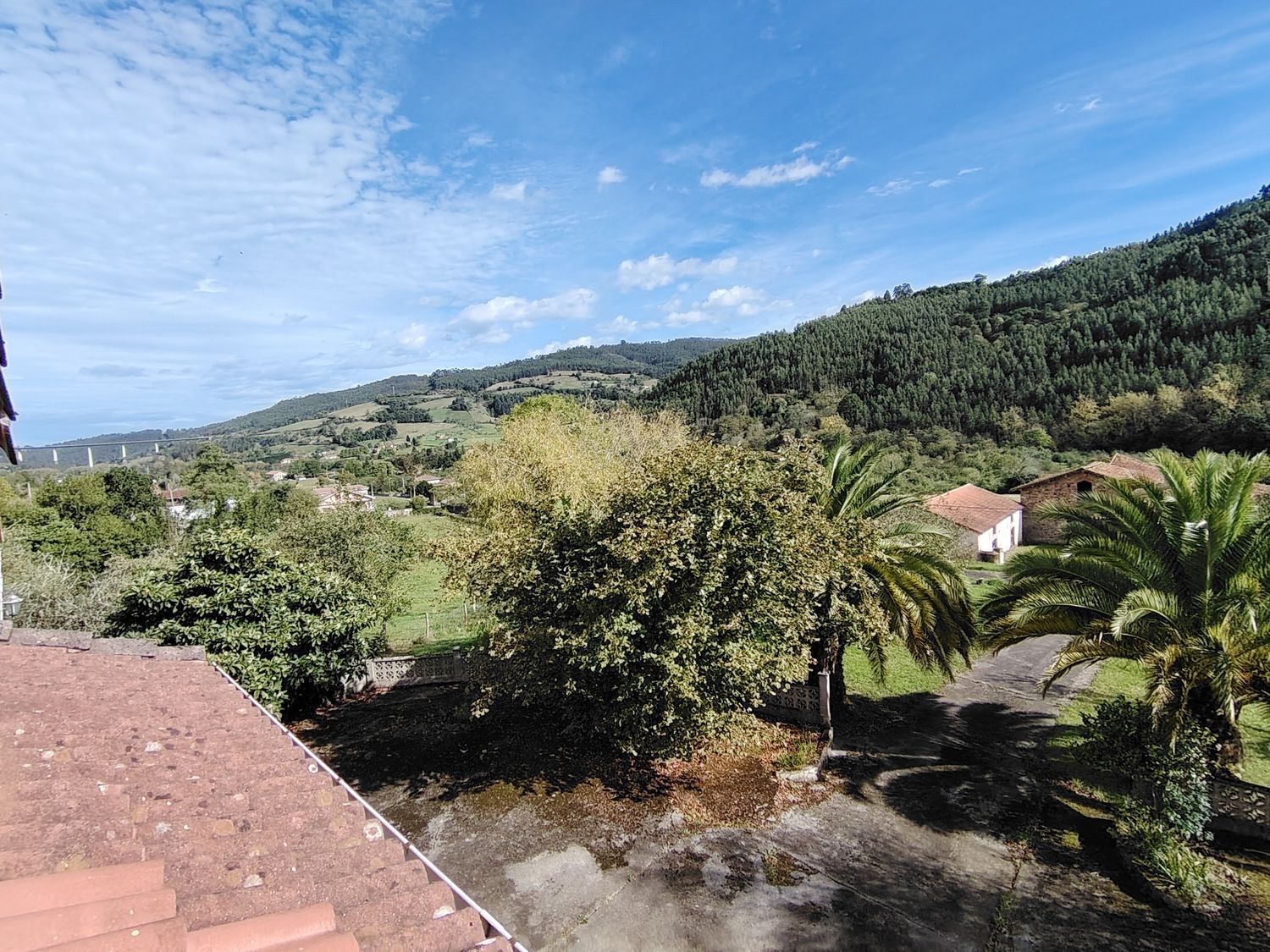 Casas o chalets-Venta-Villaviciosa-1943491-Foto-86