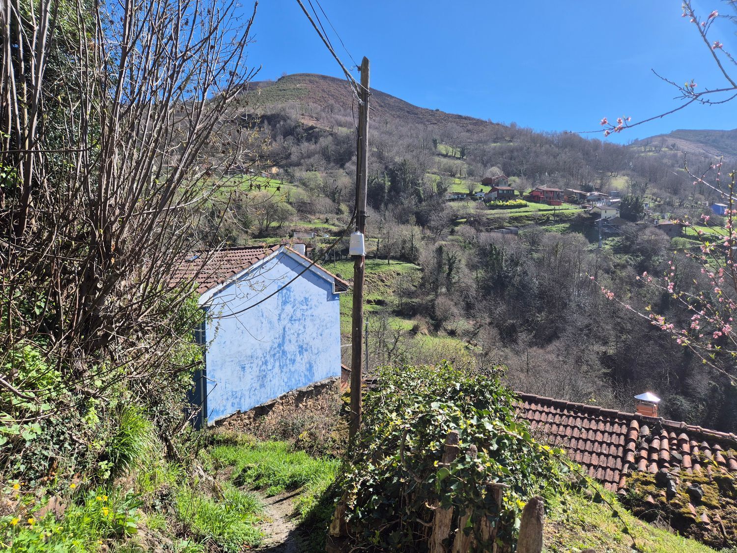 Casas o chalets-Venta-Mieres-2177151-Foto-23