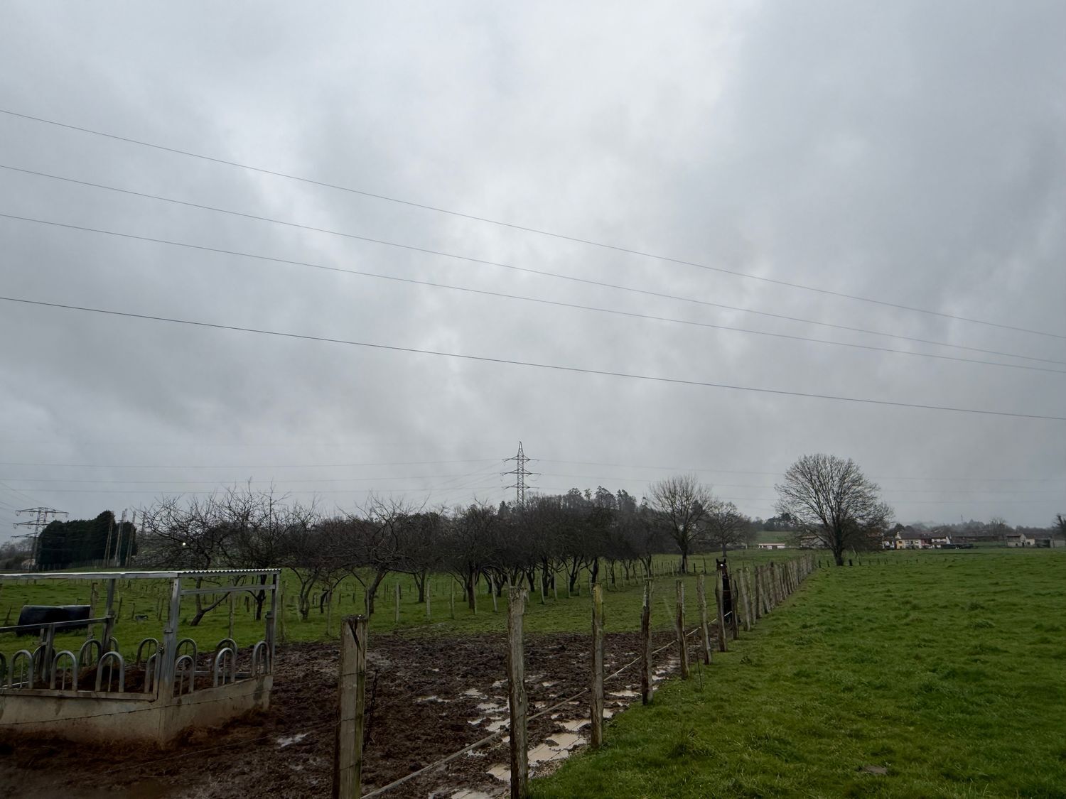 Fincas y solares-Venta-Las Navas del Marqués-2200092