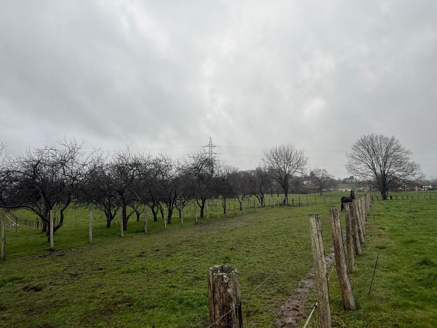 Fincas y solares-Venta-Las Navas del MarquÃ©s-2200092-Foto-3