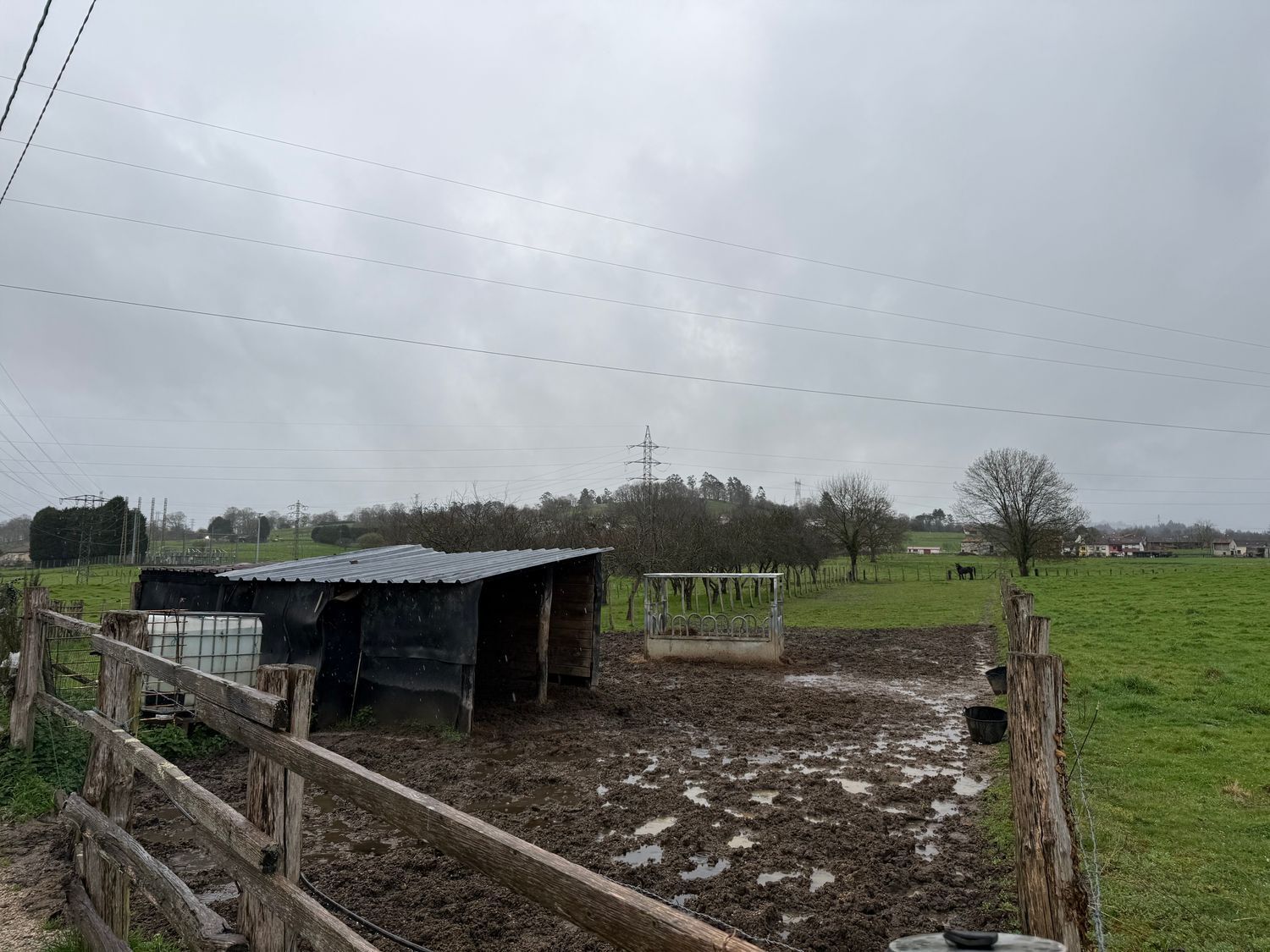 Fincas y solares-Venta-Las Navas del MarquÃ©s-2200092-Foto-4