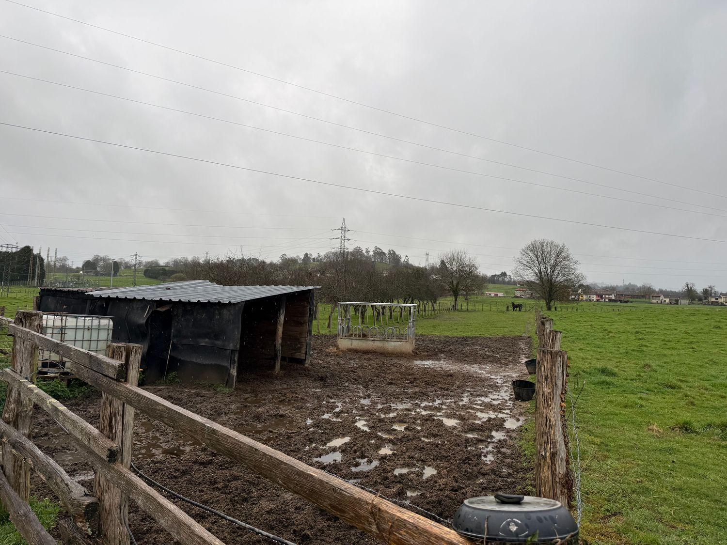Fincas y solares-Venta-Las Navas del MarquÃ©s-2200092-Foto-5