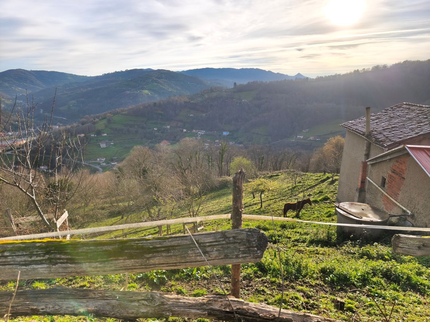 Casas o chalets-Venta-San MartÃ­n del Rey Aurelio-2177139-Foto-21