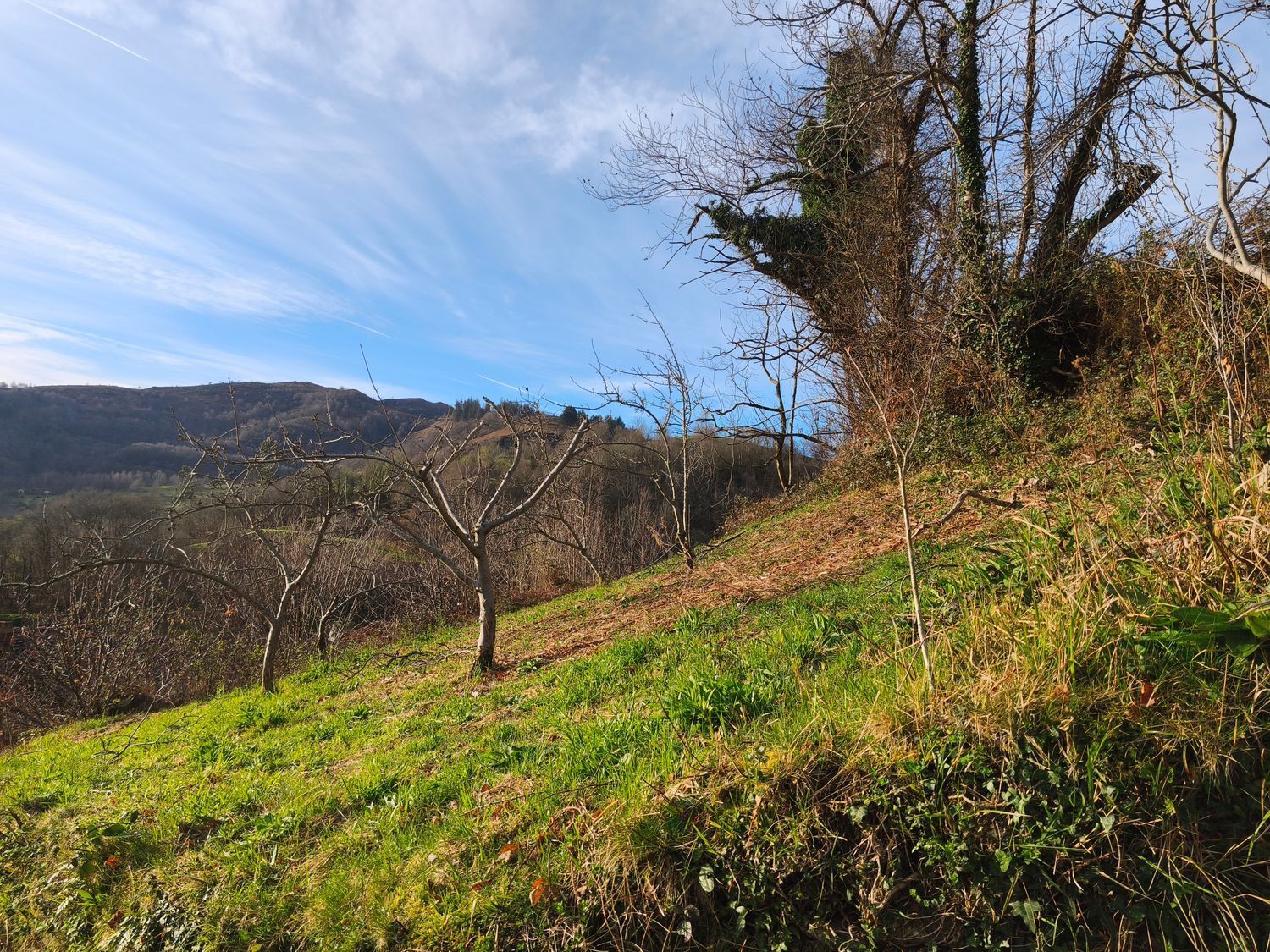 Casas o chalets-Venta-San MartÃ­n del Rey Aurelio-2177139-Foto-17