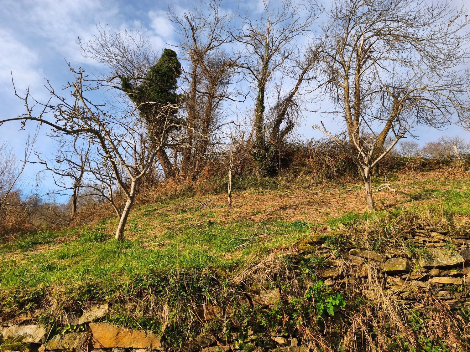 Casas o chalets-Venta-San MartÃ­n del Rey Aurelio-2177139-Foto-16