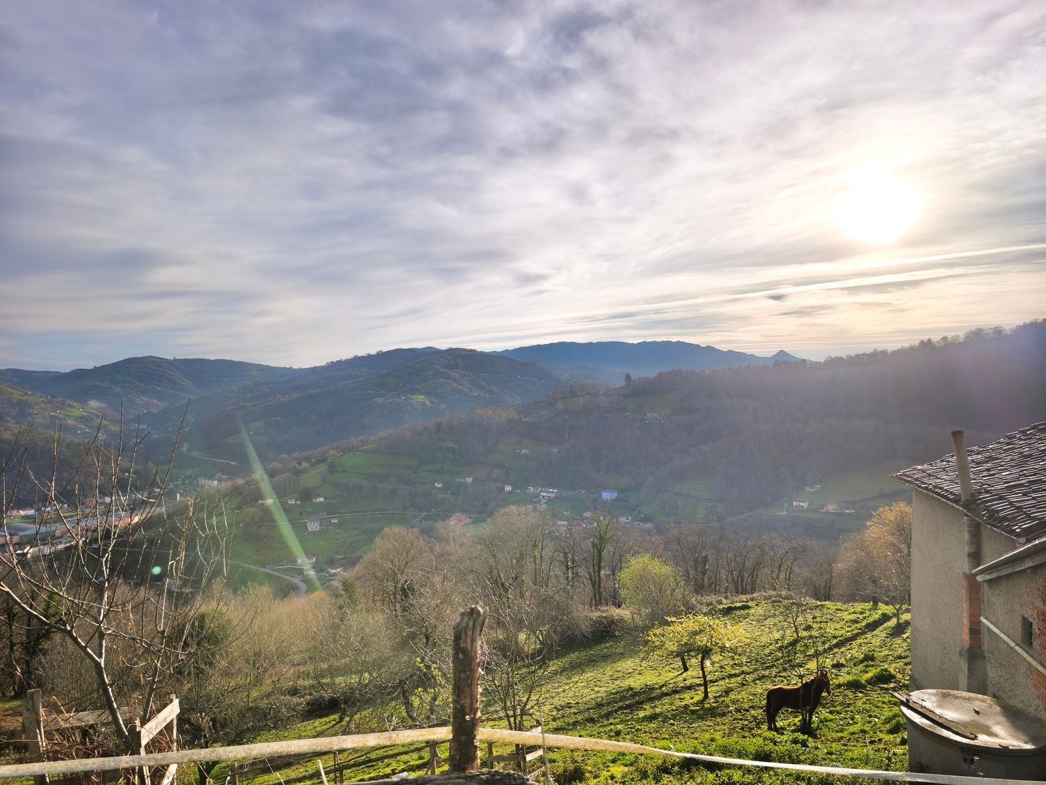 Casas o chalets-Venta-San MartÃ­n del Rey Aurelio-2177139-Foto-19