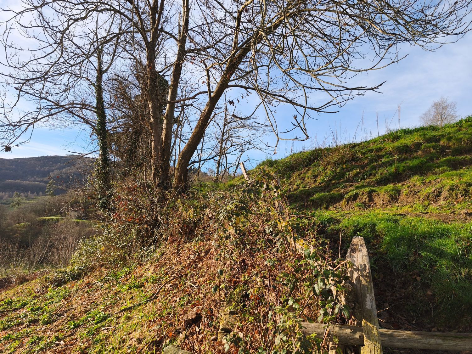 Casas o chalets-Venta-San MartÃ­n del Rey Aurelio-2177139-Foto-18