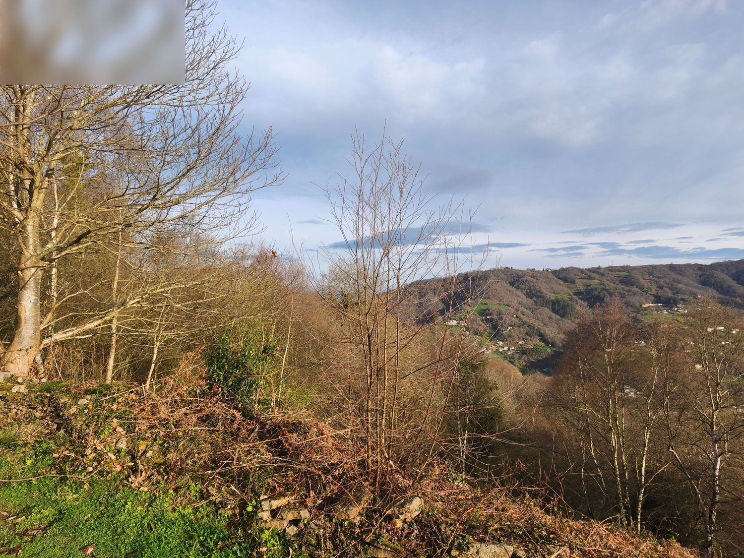 Casas o chalets-Venta-San MartÃ­n del Rey Aurelio-2177139-Foto-23