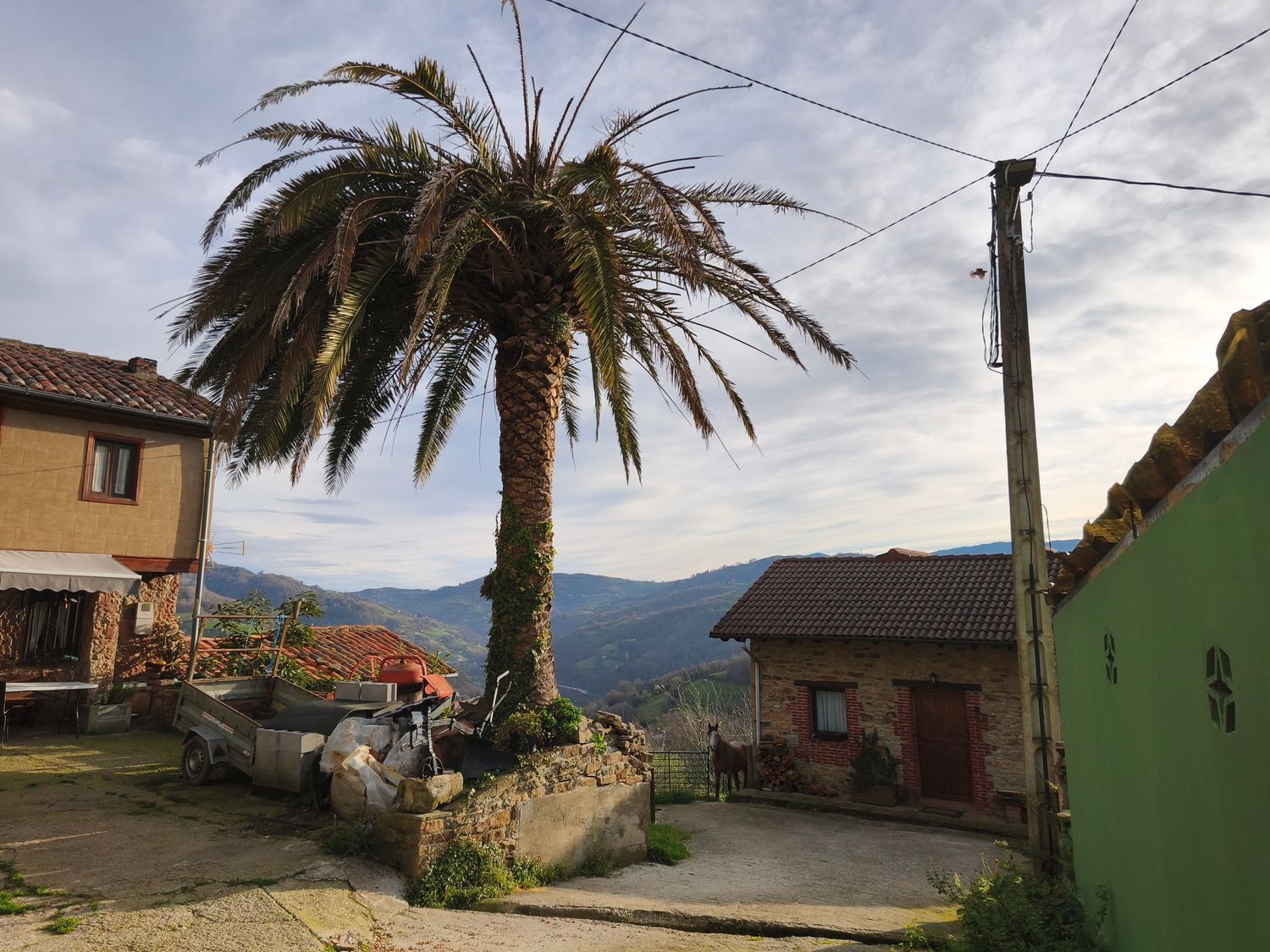 Casas o chalets-Venta-San MartÃ­n del Rey Aurelio-2177139-Foto-24