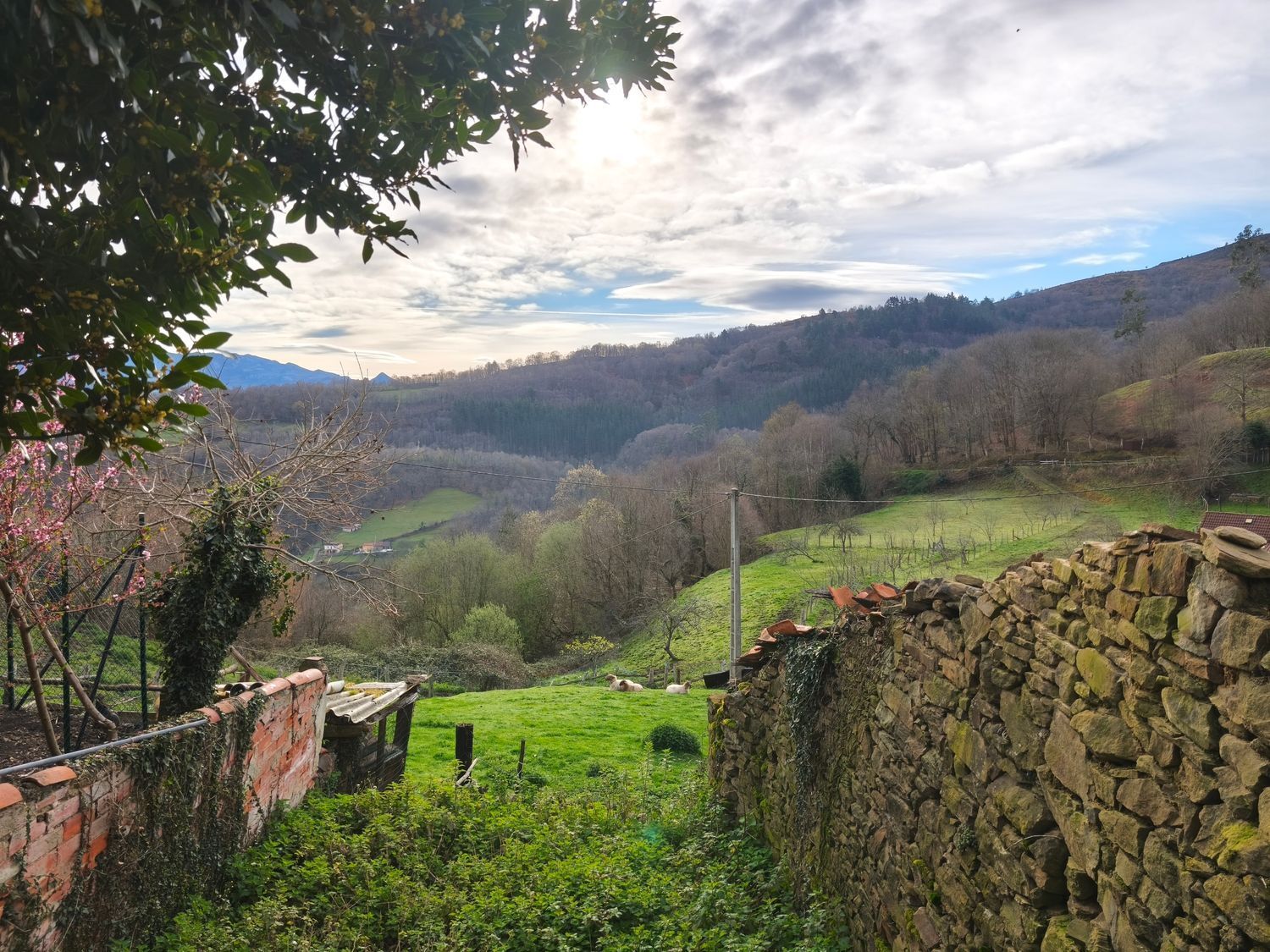 Casas o chalets-Venta-San MartÃ­n del Rey Aurelio-2177139-Foto-28