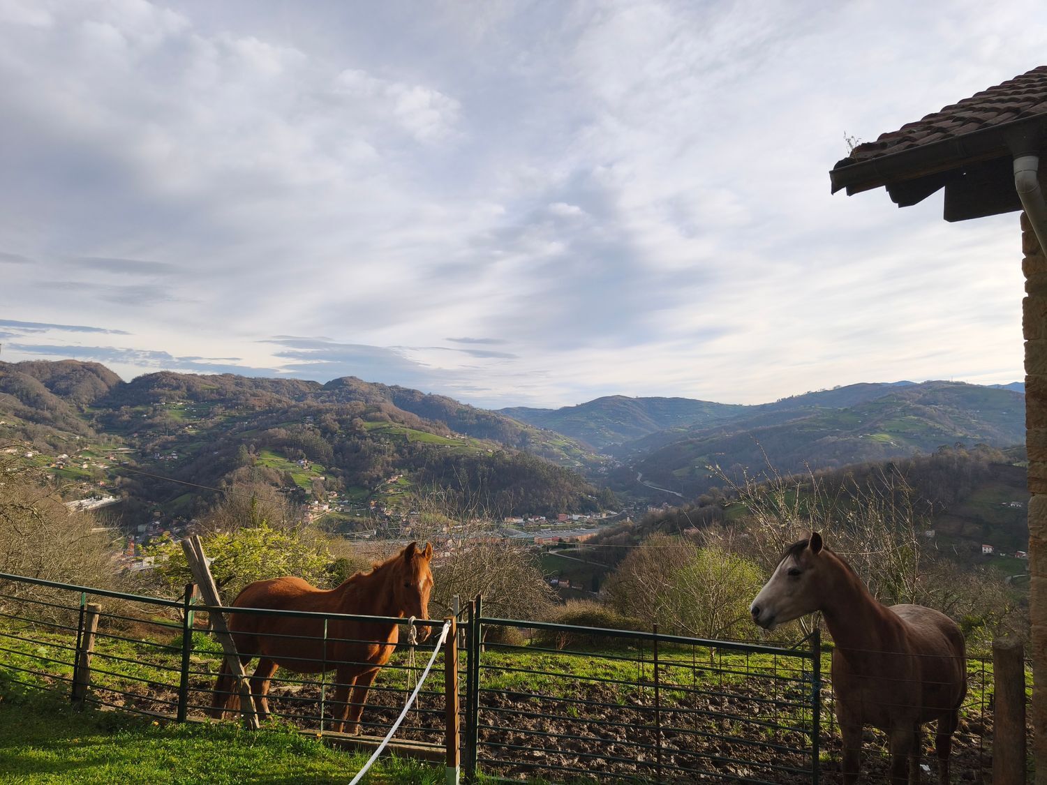 Casas o chalets-Venta-San MartÃ­n del Rey Aurelio-2177139-Foto-25