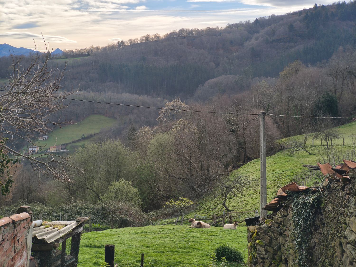 Casas o chalets-Venta-San MartÃ­n del Rey Aurelio-2177139-Foto-29