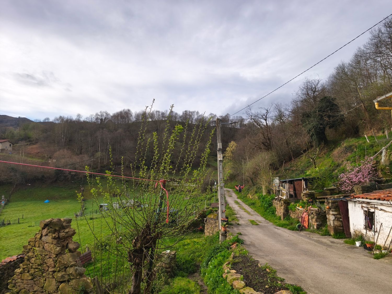 Casas o chalets-Venta-San MartÃ­n del Rey Aurelio-2177139-Foto-32