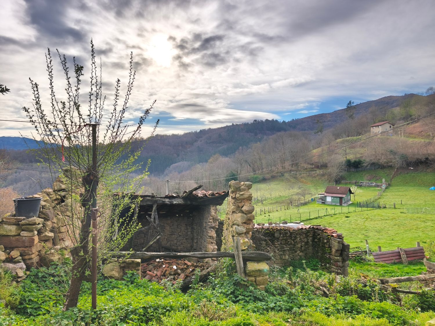 Casas o chalets-Venta-San MartÃ­n del Rey Aurelio-2177139-Foto-31