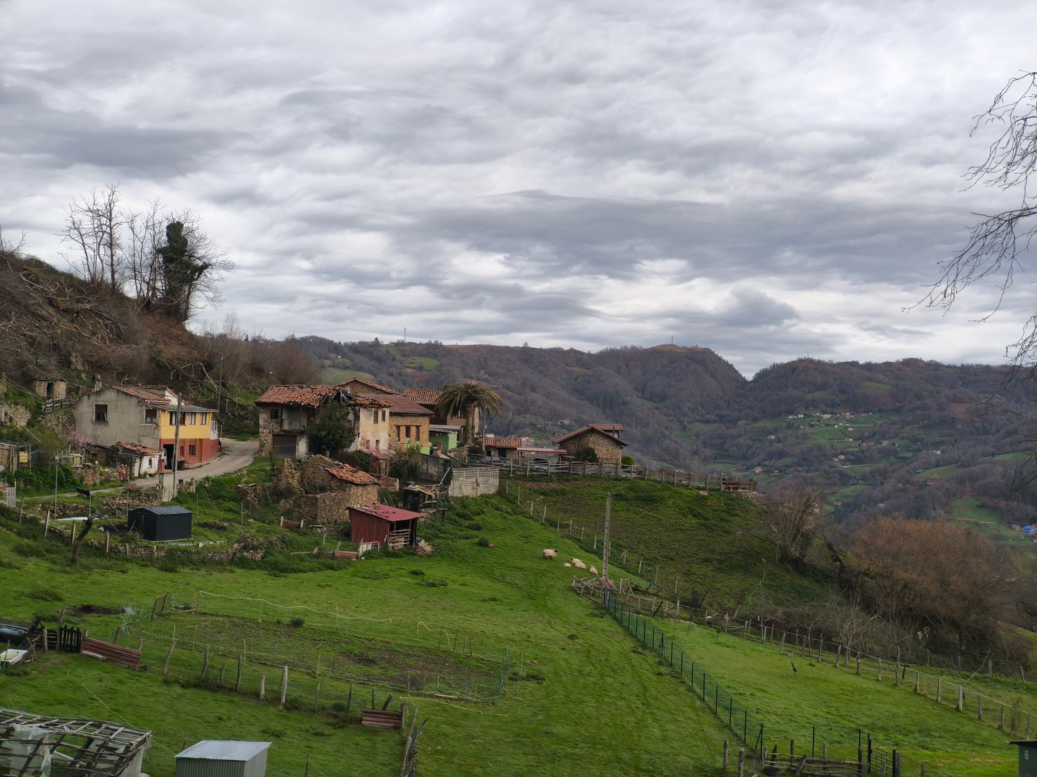 Casas o chalets-Venta-San MartÃ­n del Rey Aurelio-2177139-Foto-34