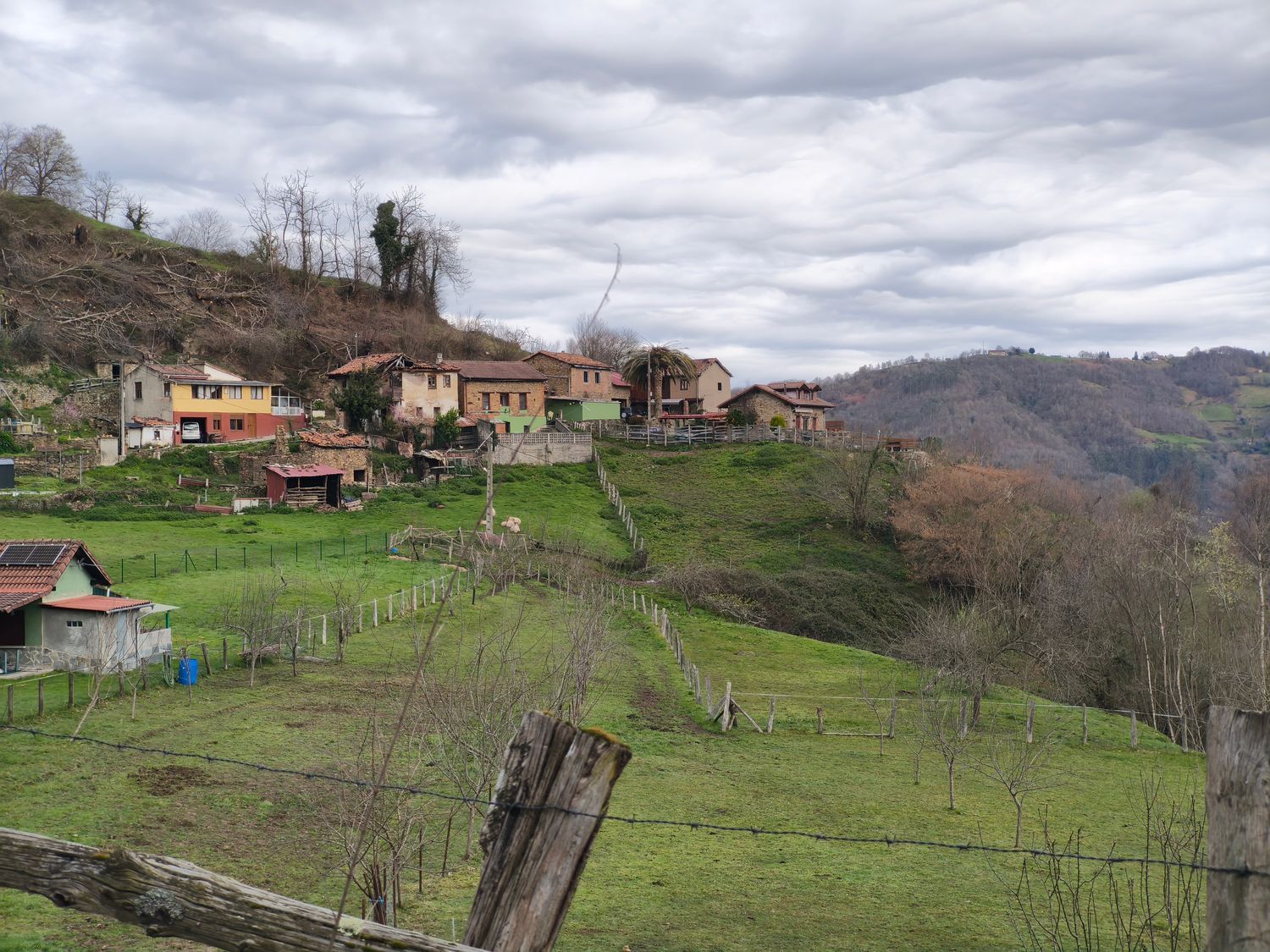 Casas o chalets-Venta-San MartÃ­n del Rey Aurelio-2177139-Foto-36