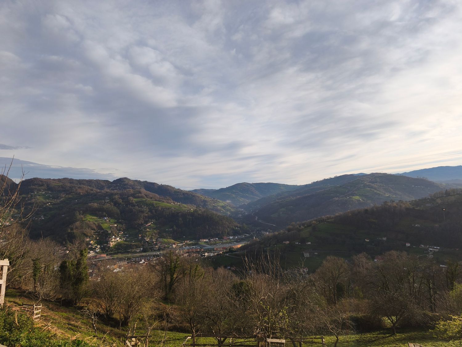 Casas o chalets-Venta-San MartÃ­n del Rey Aurelio-2177139-Foto-39