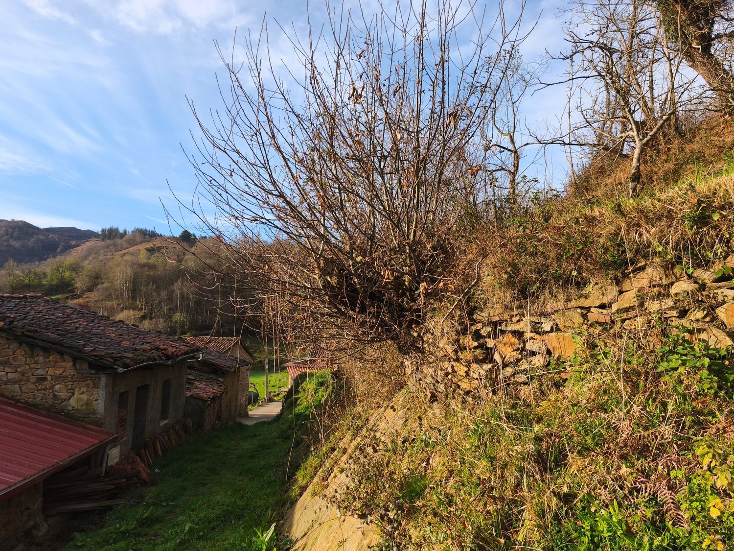 Casas o chalets-Venta-San MartÃ­n del Rey Aurelio-2177139-Foto-40