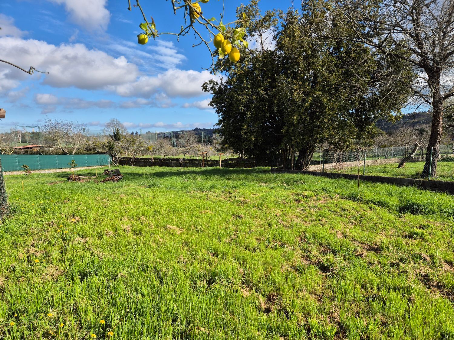 Fincas y solares-Venta-GijÃ³n-2153111-Foto-11