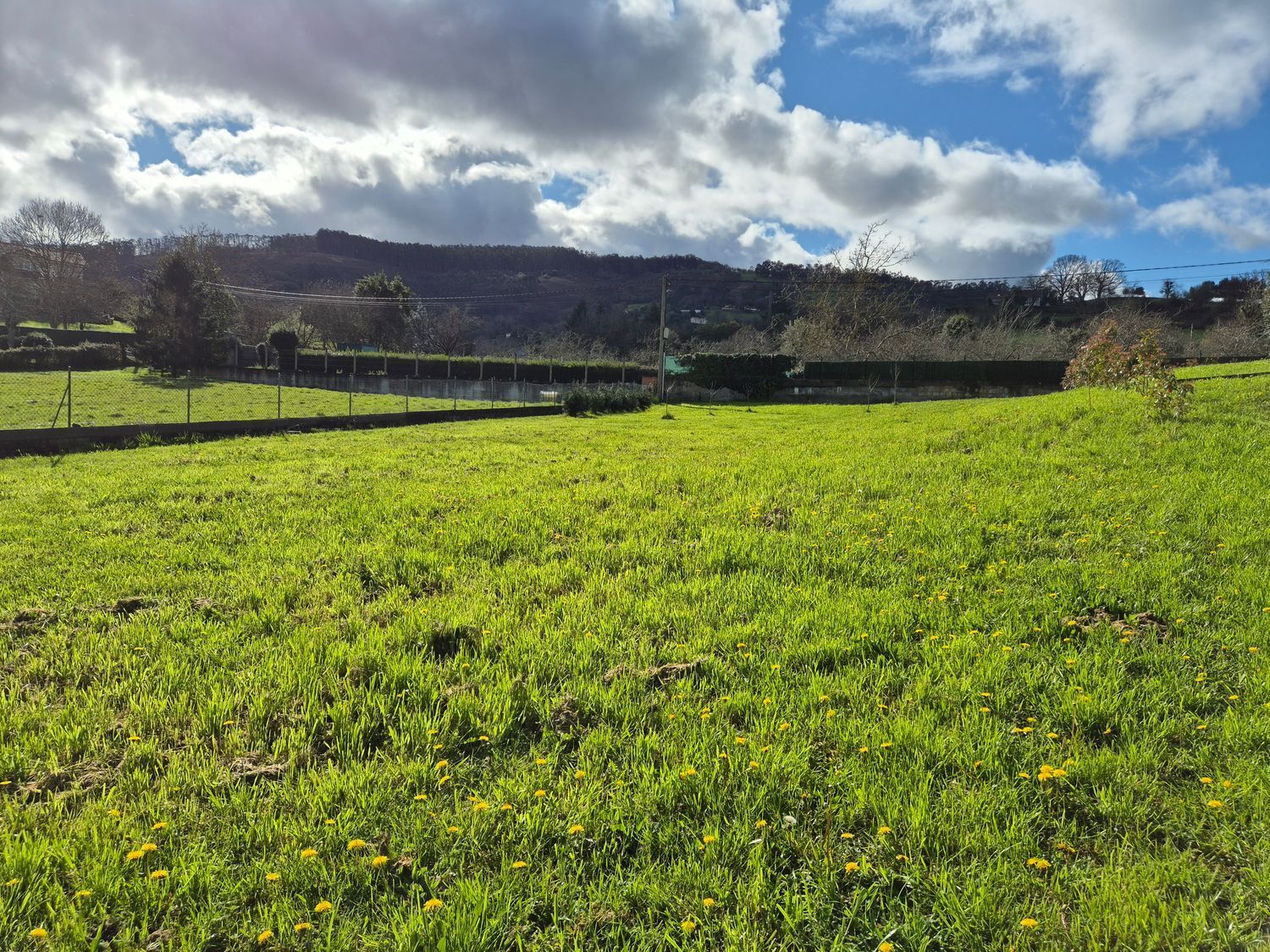 Fincas y solares-Venta-GijÃ³n-2153111-Foto-10