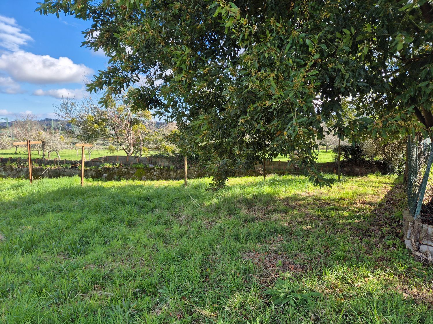 Fincas y solares-Venta-GijÃ³n-2153111-Foto-13