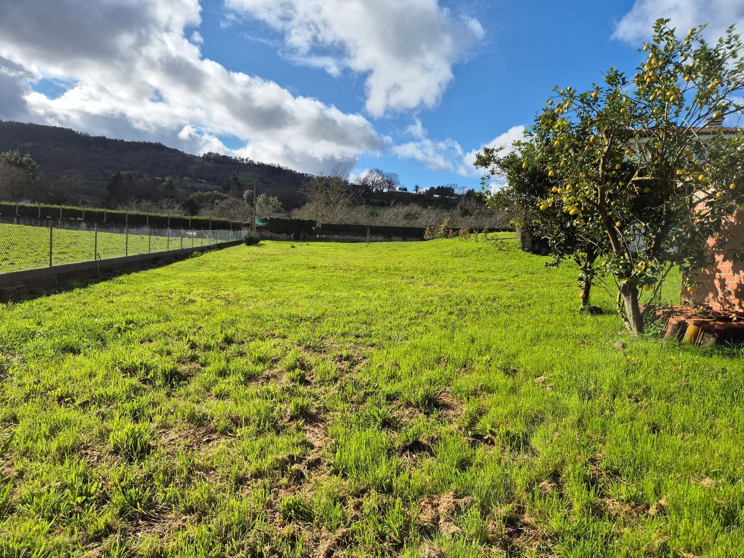 Fincas y solares-Venta-GijÃ³n-2153111-Foto-12