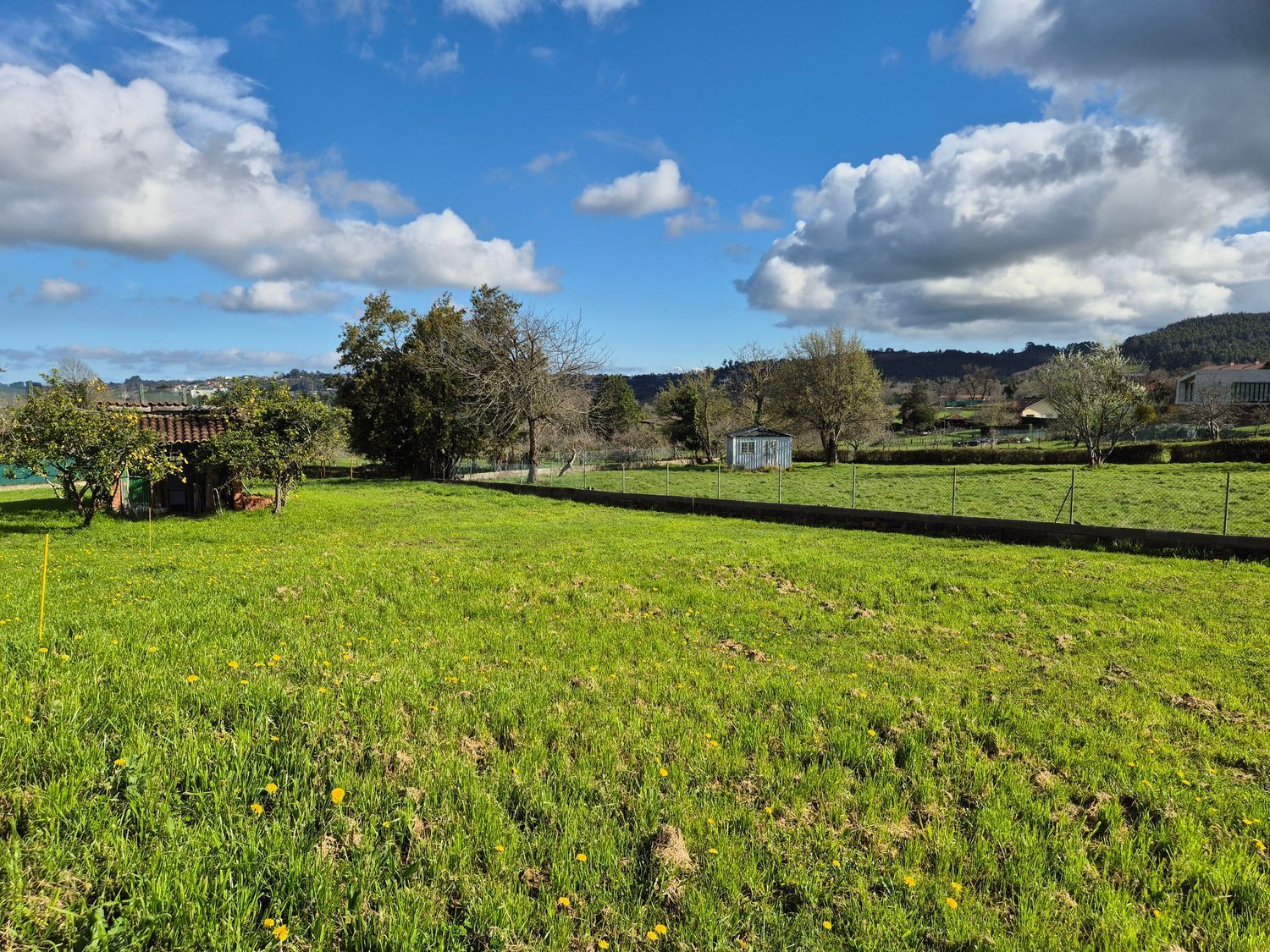 Fincas y solares-Venta-GijÃ³n-2153111-Foto-20