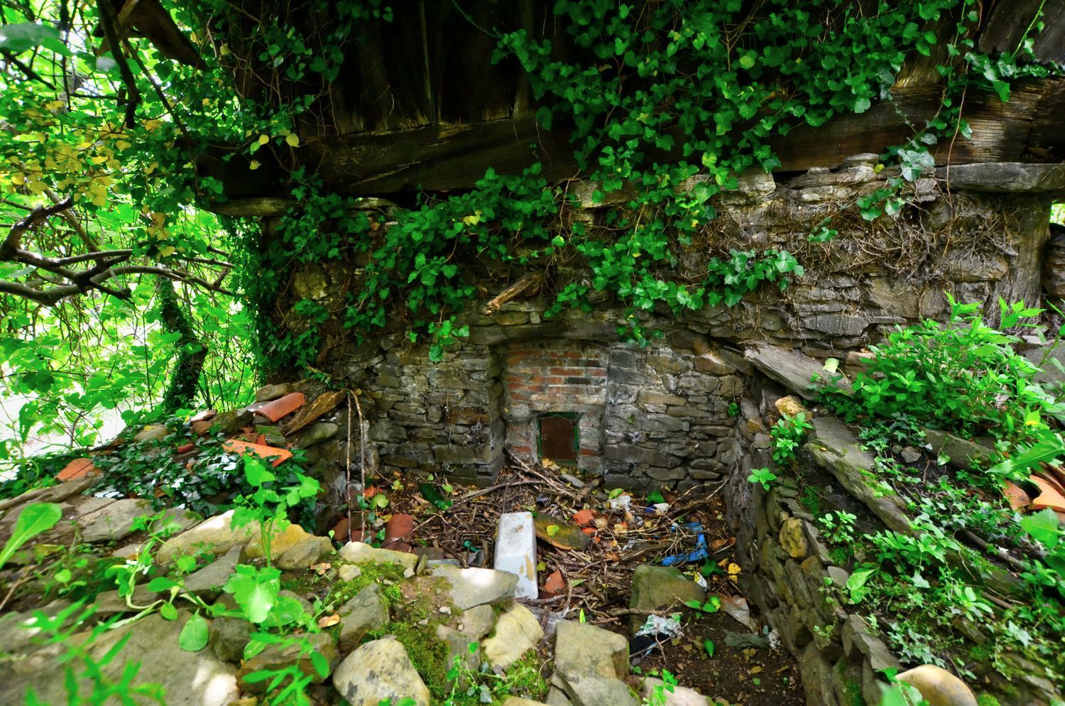 Casas o chalets-Venta-Mieres-1723333-Foto-3