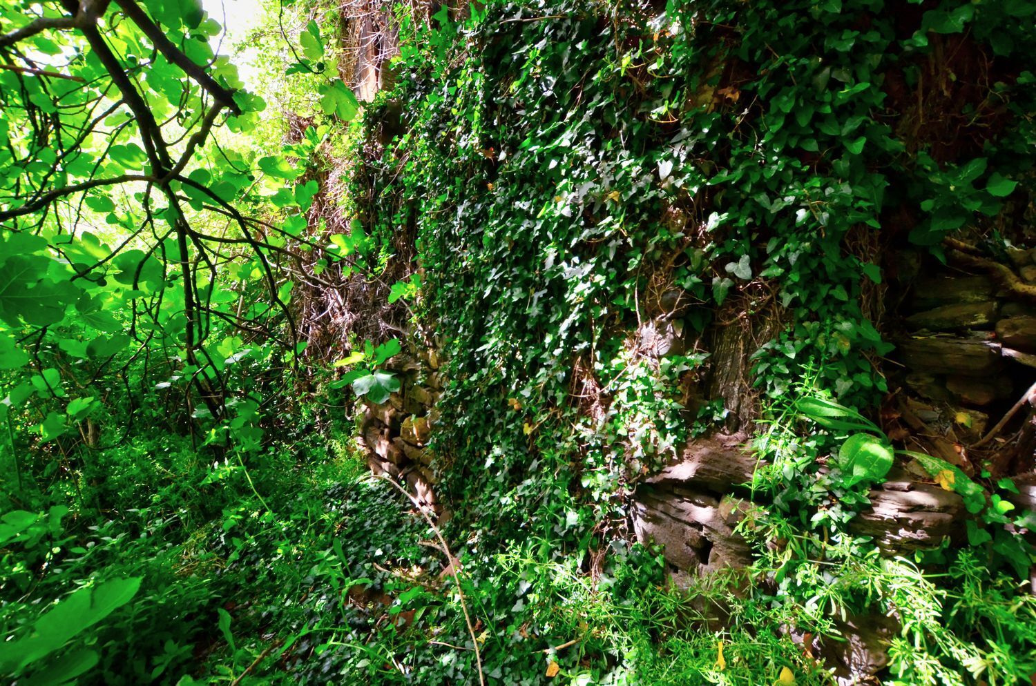 Casas o chalets-Venta-Mieres-1723333-Foto-10