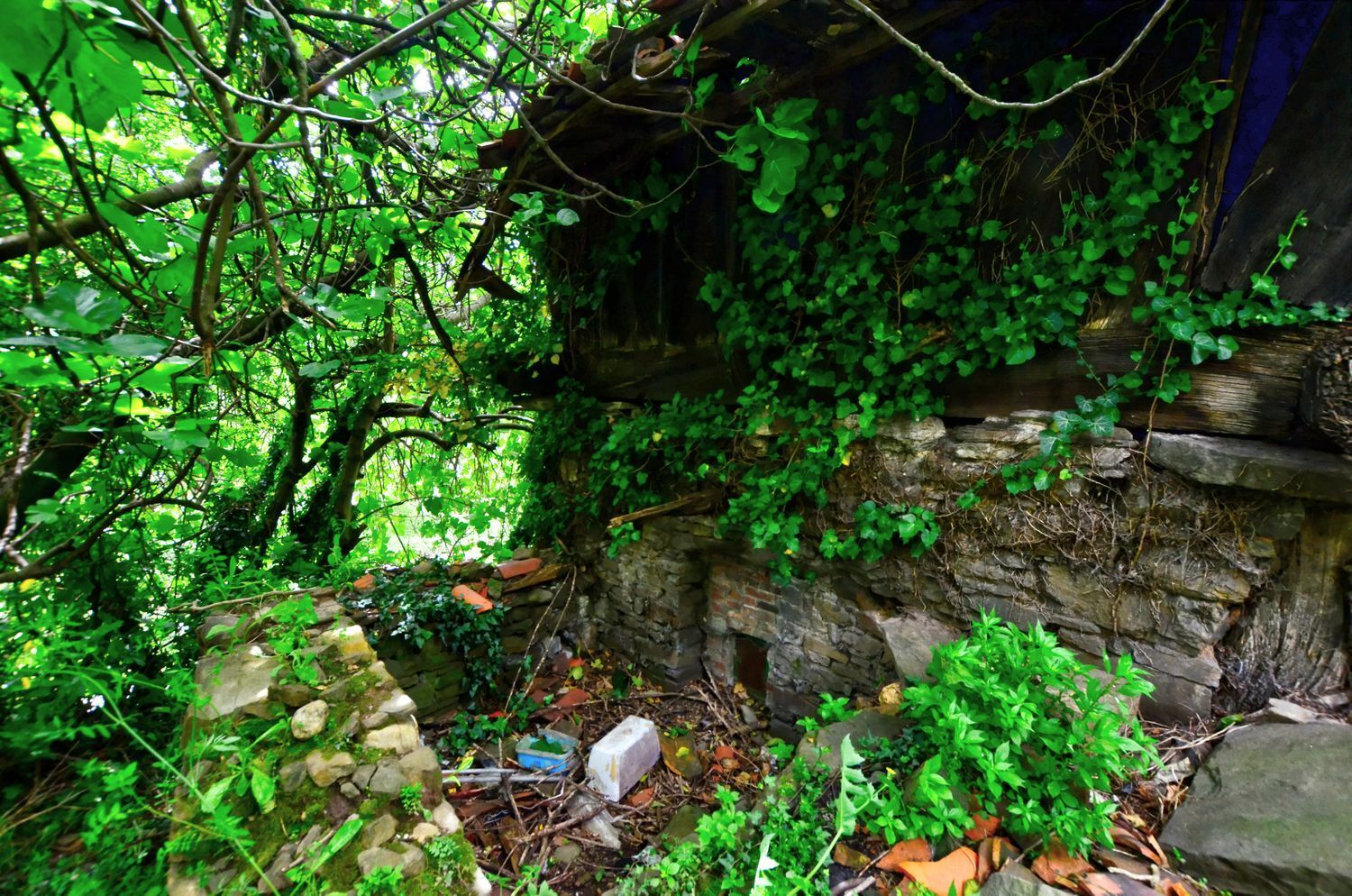 Casas o chalets-Venta-Mieres-1723333-Foto-6