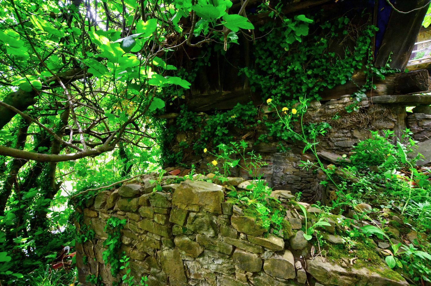 Casas o chalets-Venta-Mieres-1723333-Foto-8