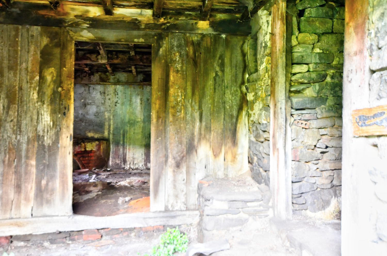 Casas o chalets-Venta-Mieres-2015617-Foto-10