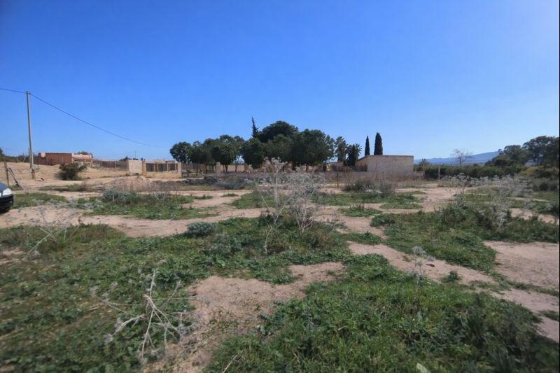 Fincas y solares-Venta-Librilla-2063622-Foto-2