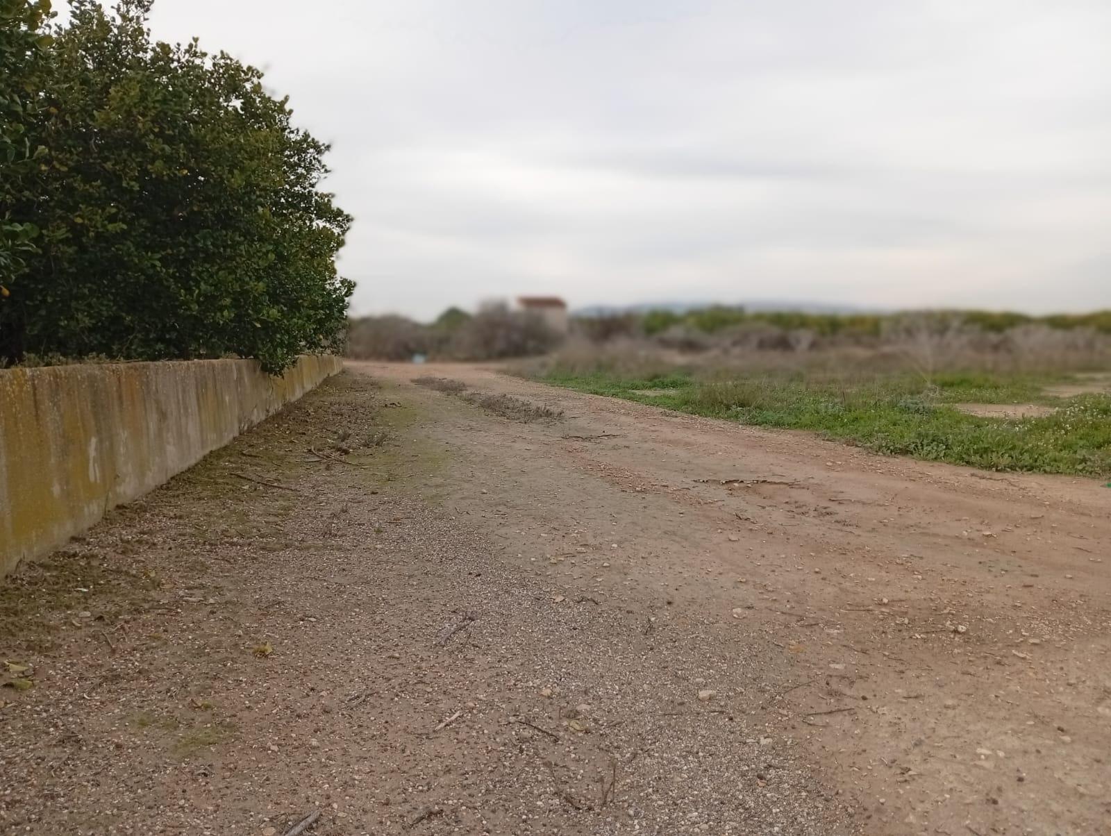 Fincas y solares-Venta-Librilla-2063622-Foto-7