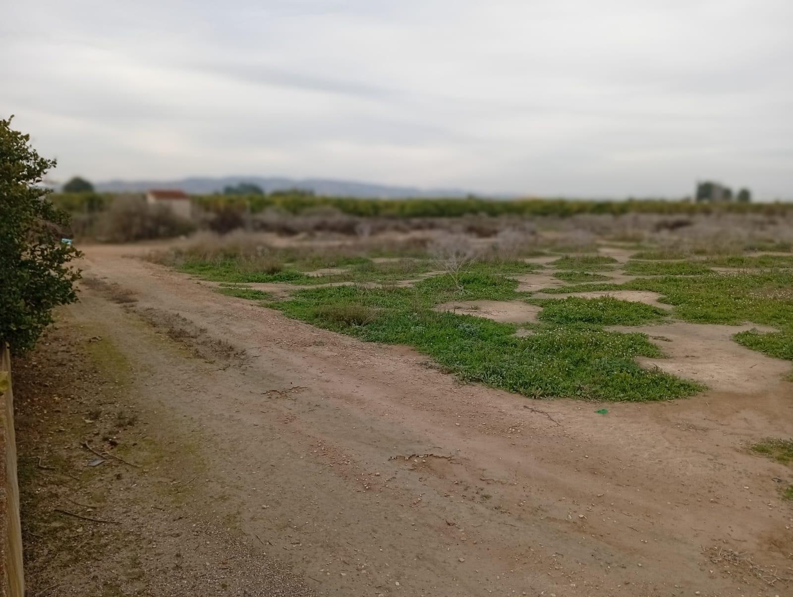 Fincas y solares-Venta-Librilla-2063622-Foto-10