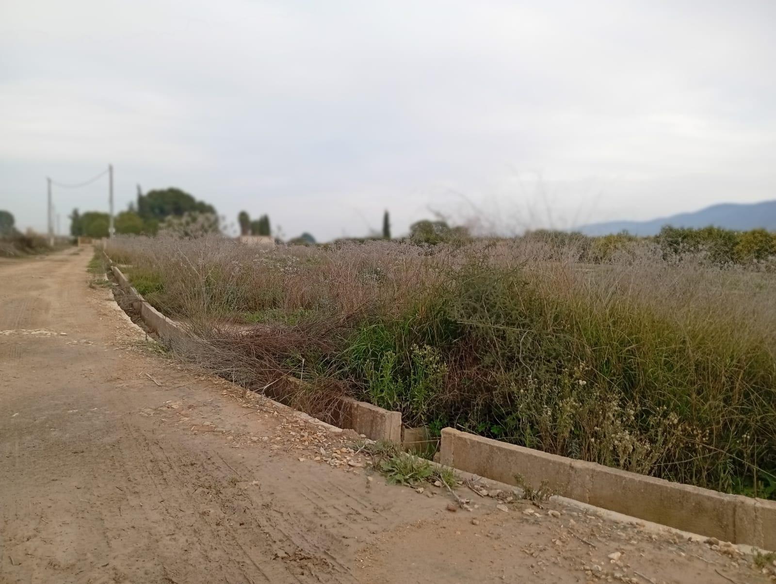 Fincas y solares-Venta-Librilla-2063622-Foto-11