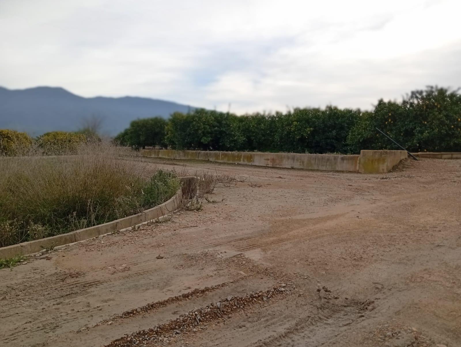 Fincas y solares-Venta-Librilla-2063622-Foto-12