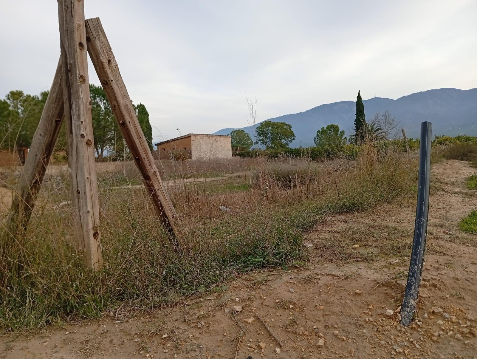 Fincas y solares-Venta-Librilla-2063622-Foto-14