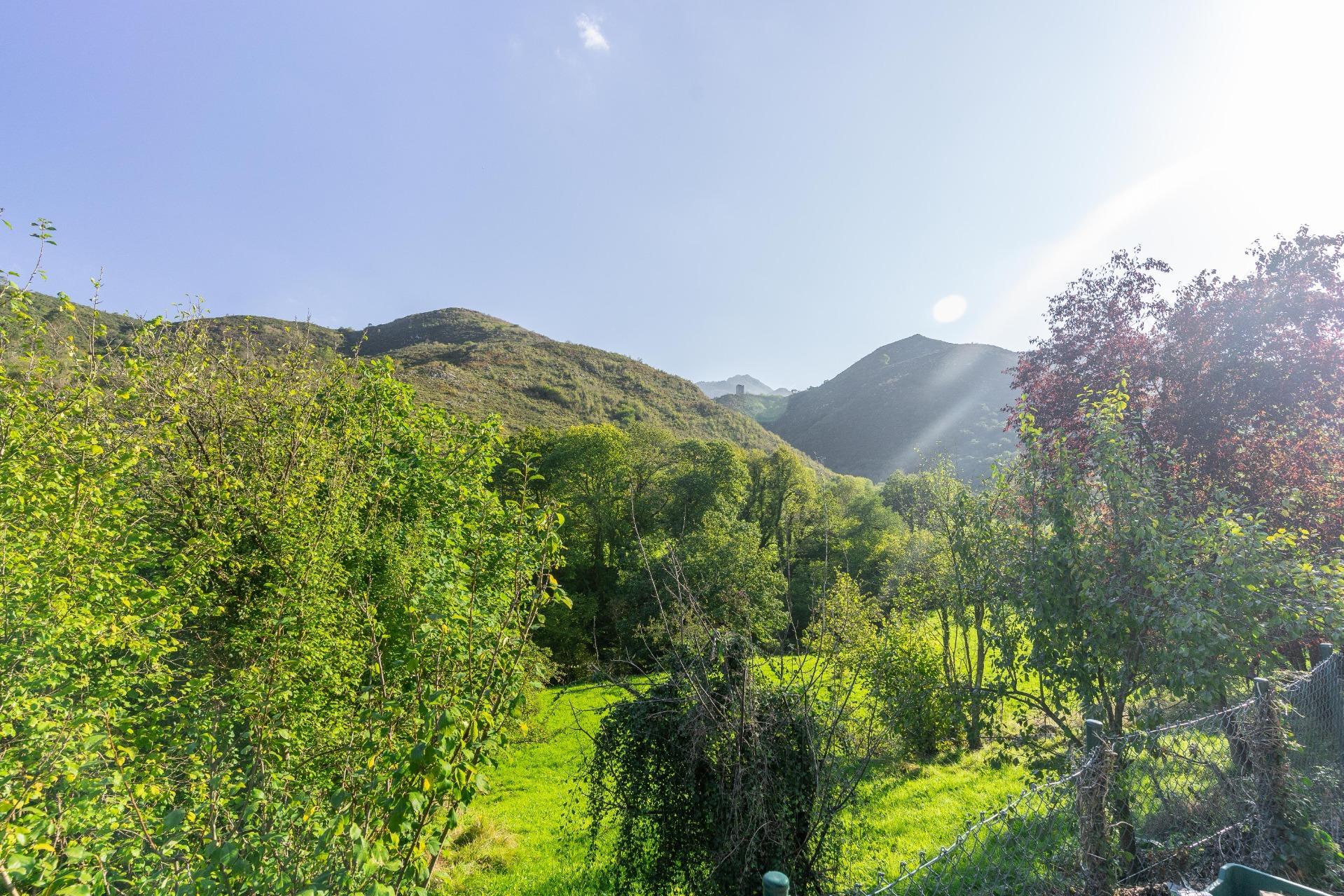 Casas o chalets-Venta-Ribera de Arriba-2015698-Foto-77