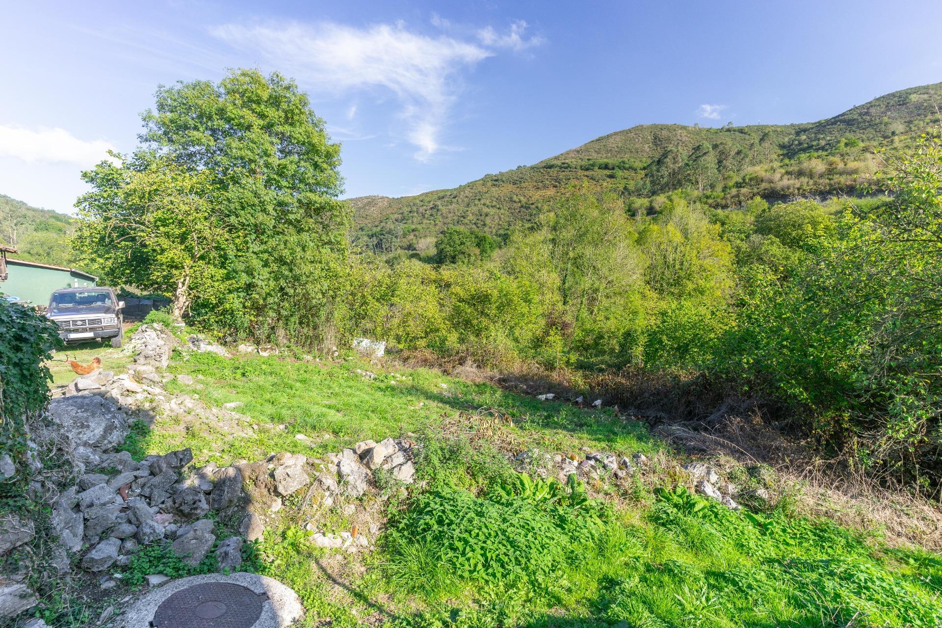 Casas o chalets-Venta-Ribera de Arriba-2015698-Foto-76