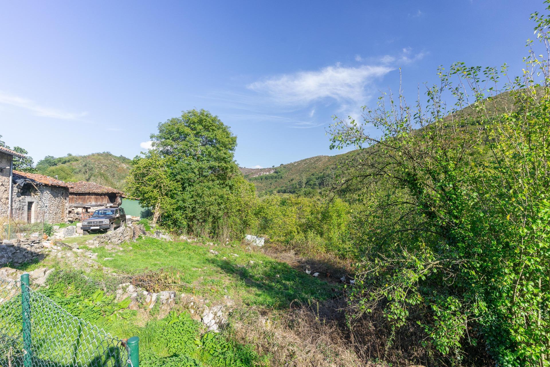 Casas o chalets-Venta-Ribera de Arriba-2015698-Foto-78