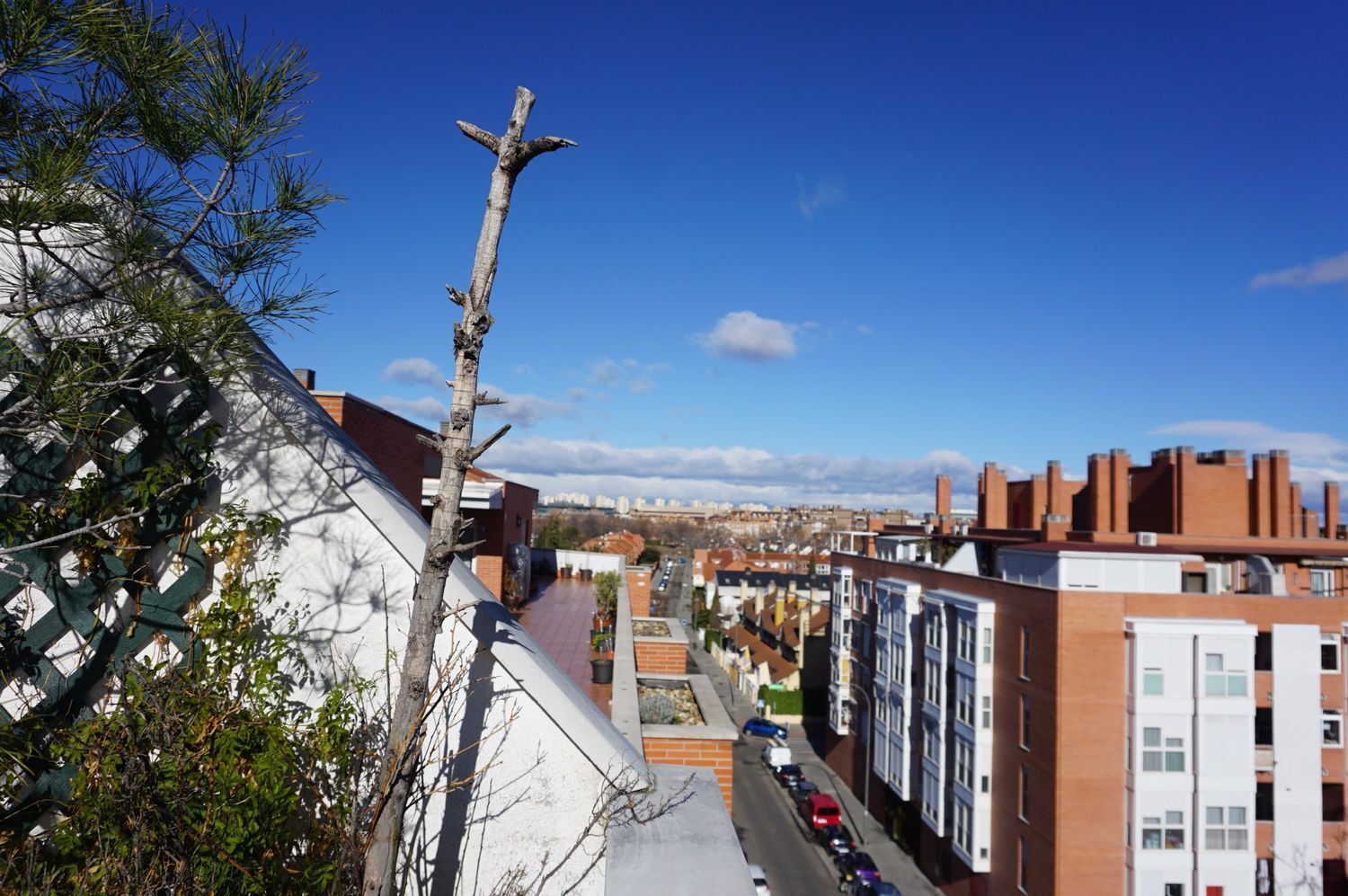 Pisos-Alquiler-Madrid-2177665-Foto-2